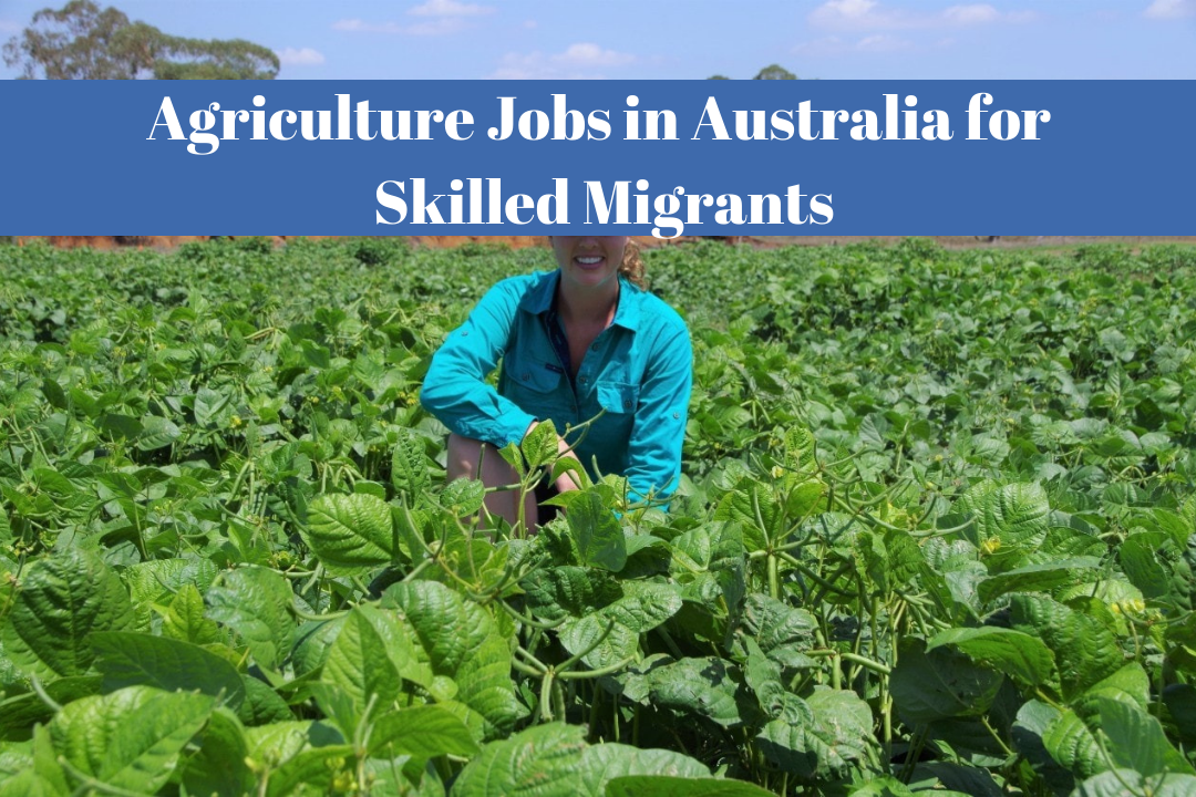 Agriculture Jobs in Australia for Skilled Migrants