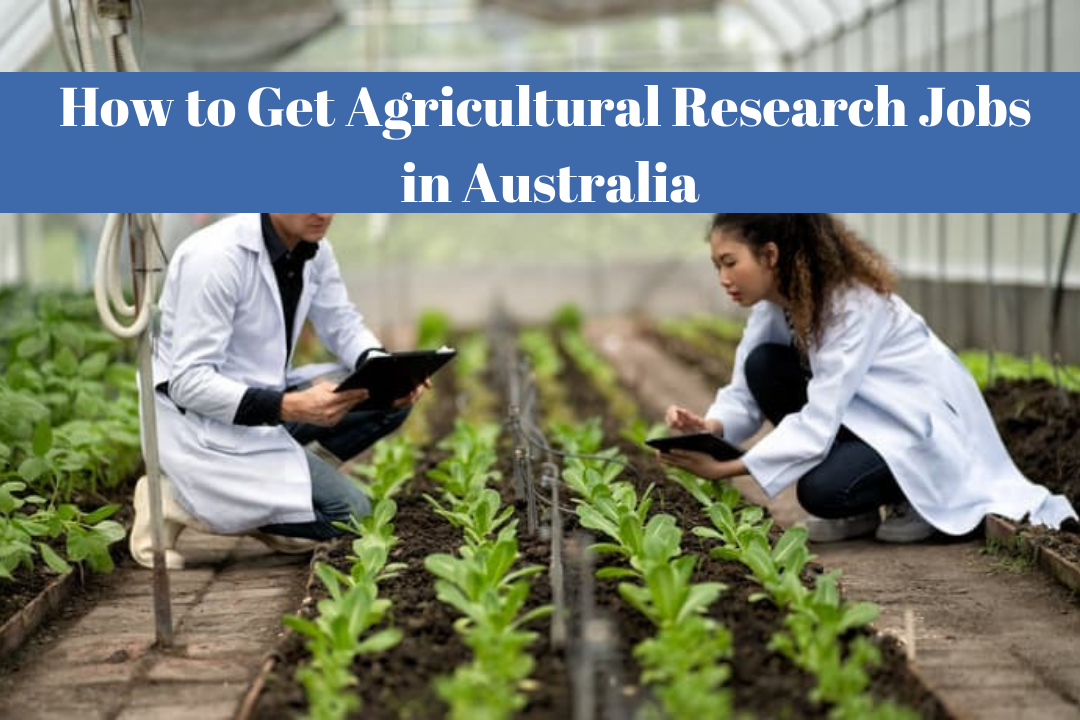 How to Get Agricultural Research Jobs in Australia